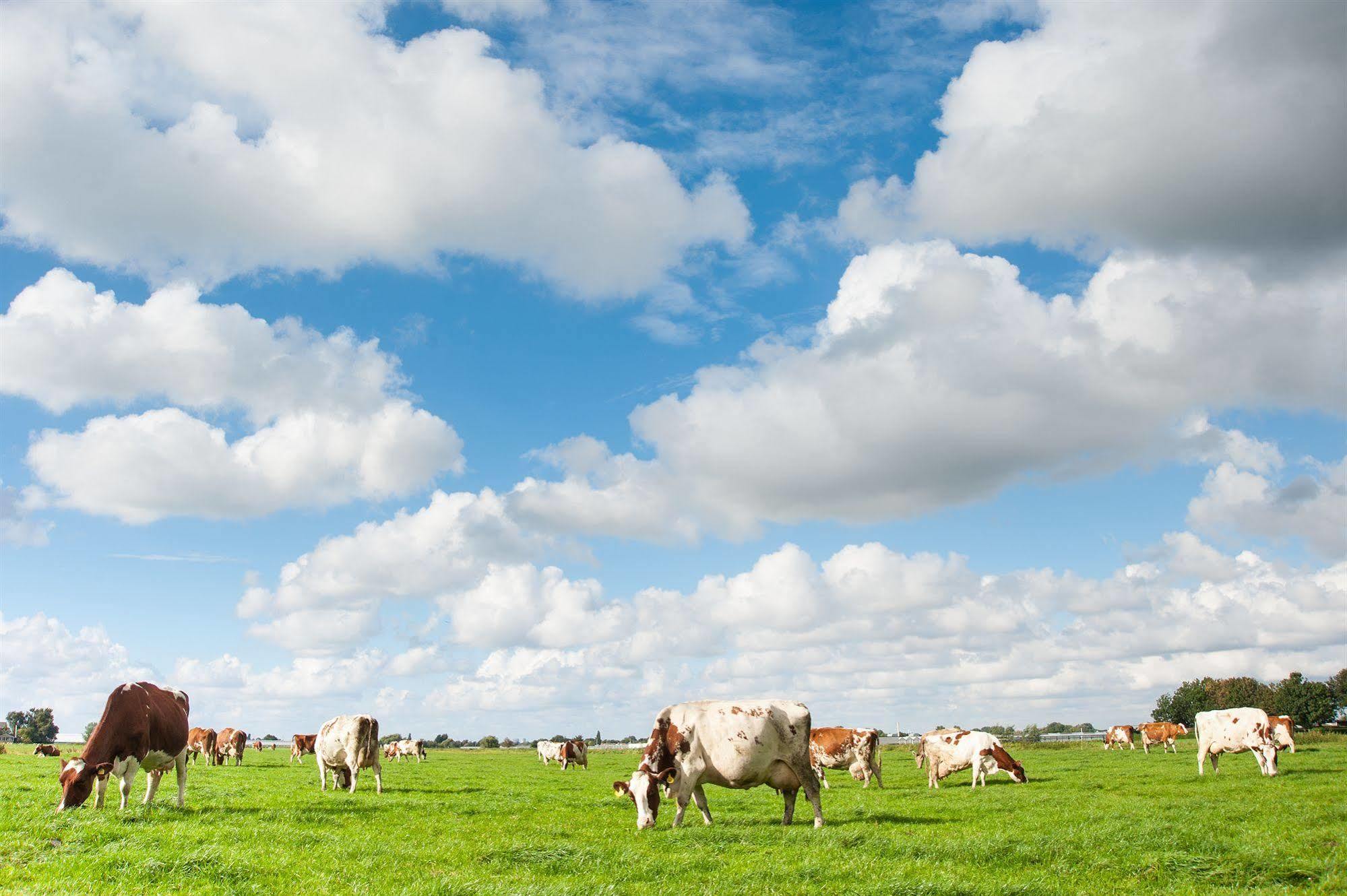 Huis Ter Lucht De Kwakel Bagian luar foto